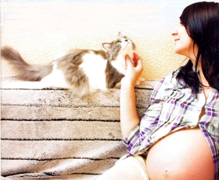 Токсоплазмоз во время беременности